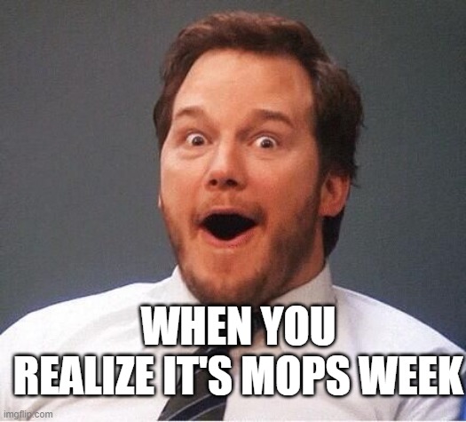 excited | WHEN YOU REALIZE IT'S MOPS WEEK | image tagged in excited | made w/ Imgflip meme maker