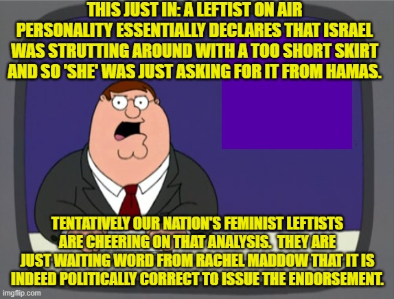 It's definitely bizzarro time in leftist la-la land. | THIS JUST IN: A LEFTIST ON AIR PERSONALITY ESSENTIALLY DECLARES THAT ISRAEL WAS STRUTTING AROUND WITH A TOO SHORT SKIRT AND SO 'SHE' WAS JUST ASKING FOR IT FROM HAMAS. TENTATIVELY OUR NATION'S FEMINIST LEFTISTS ARE CHEERING ON THAT ANALYSIS.  THEY ARE JUST WAITING WORD FROM RACHEL MADDOW THAT IT IS INDEED POLITICALLY CORRECT TO ISSUE THE ENDORSEMENT. | image tagged in peter griffin news | made w/ Imgflip meme maker