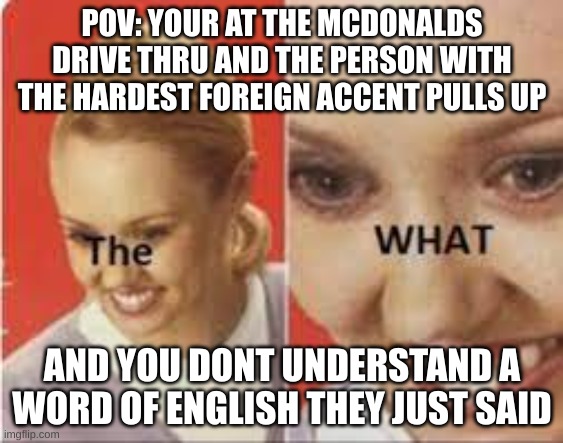 literally | POV: YOUR AT THE MCDONALDS DRIVE THRU AND THE PERSON WITH THE HARDEST FOREIGN ACCENT PULLS UP; AND YOU DONT UNDERSTAND A WORD OF ENGLISH THEY JUST SAID | image tagged in relatable,foreign | made w/ Imgflip meme maker