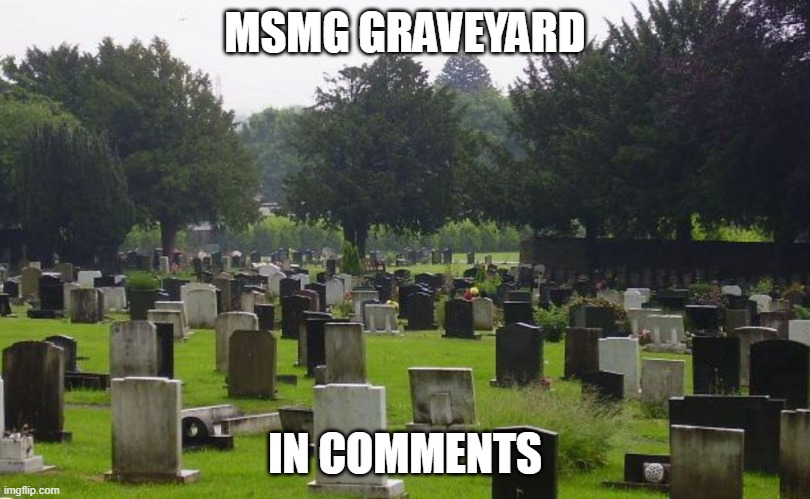 Graveyard | MSMG GRAVEYARD; IN COMMENTS | image tagged in graveyard | made w/ Imgflip meme maker