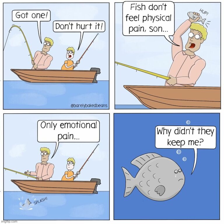 Catching Feelings | image tagged in fishing,comics,memes | made w/ Imgflip meme maker