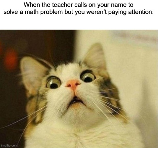 Ah crap | When the teacher calls on your name to solve a math problem but you weren’t paying attention: | image tagged in memes,scared cat | made w/ Imgflip meme maker