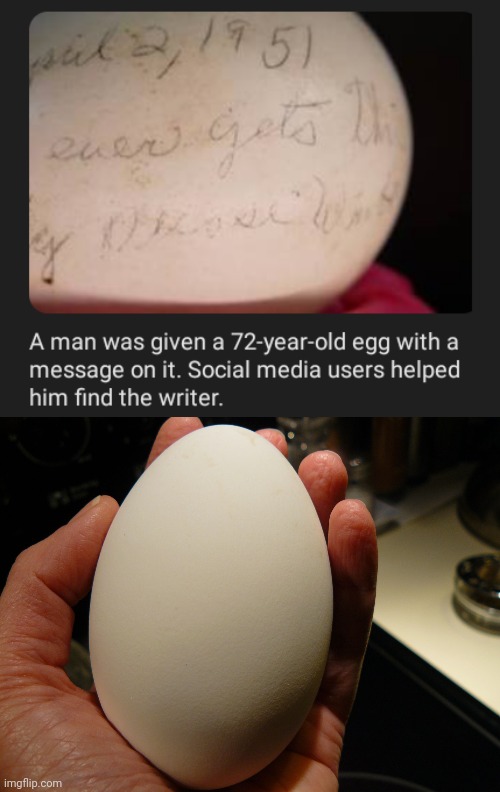 "72-year-old egg" | image tagged in goose egg,egg,message,memes,eggs,writer | made w/ Imgflip meme maker