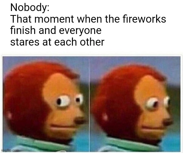 Awkward as heck | Nobody:
That moment when the fireworks finish and everyone stares at each other | image tagged in memes,monkey puppet | made w/ Imgflip meme maker