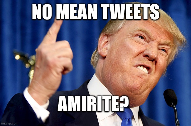 Donald Trump | NO MEAN TWEETS; AMIRITE? | image tagged in donald trump | made w/ Imgflip meme maker