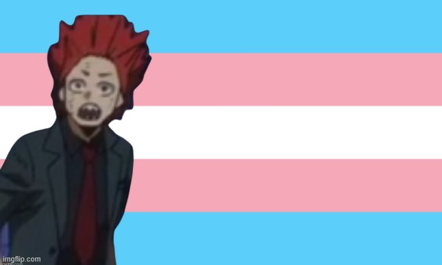 Trans Flag | image tagged in trans flag | made w/ Imgflip meme maker