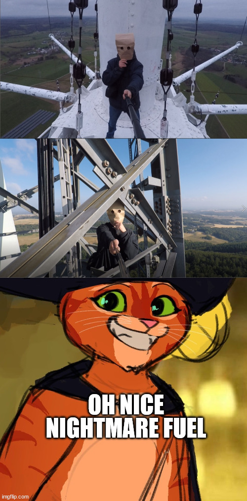 Puss in Boots meet lattice climbing | NIGHTMARE FUEL; OH NICE | image tagged in puss in boots 2,lattice climbing,meme,germany,climbing,klettern | made w/ Imgflip meme maker