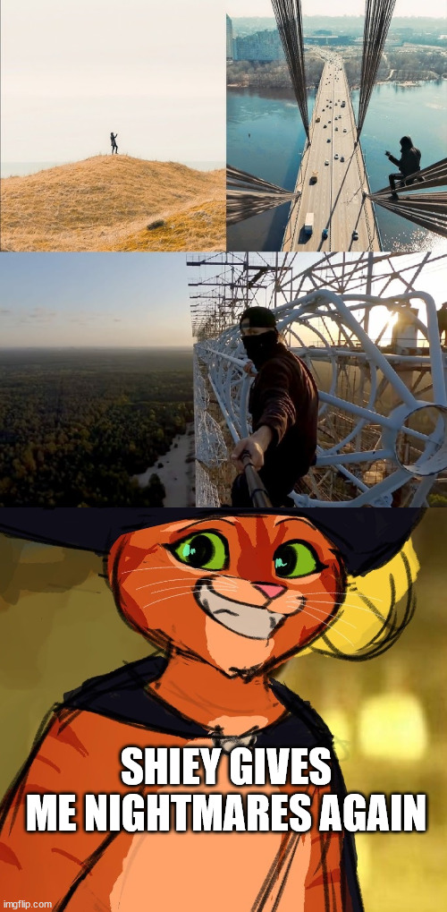 Acrophobia meme, Shiey | SHIEY GIVES ME NIGHTMARES AGAIN | image tagged in puss in boots 2,shiey,lattice climbing,klettern,gittersteigen,template | made w/ Imgflip meme maker