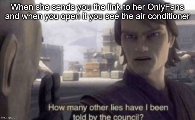 Only Puns | When she sends you the link to her OnlyFans and when you open it you see the air conditioner | image tagged in how many other lies have i been told by the council,puns | made w/ Imgflip meme maker