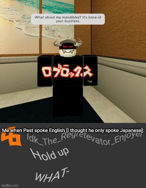 [Btw Regretevator got updated and I'm saving up to get the coin magnet] | Me when Pest spoke English [I thought he only spoke Japanese]: | image tagged in hold up what-,idk stuff s o u p carck,regretevator,read the title please | made w/ Imgflip meme maker