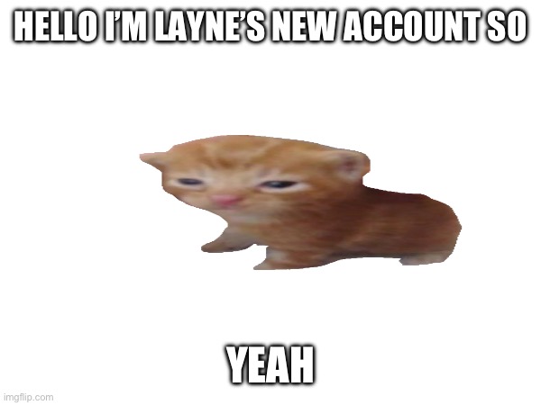 New account:( | HELLO I’M LAYNE’S NEW ACCOUNT SO; YEAH | image tagged in fun | made w/ Imgflip meme maker
