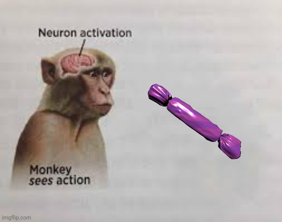 Pink Candy is the funny item | image tagged in neuron activation | made w/ Imgflip meme maker