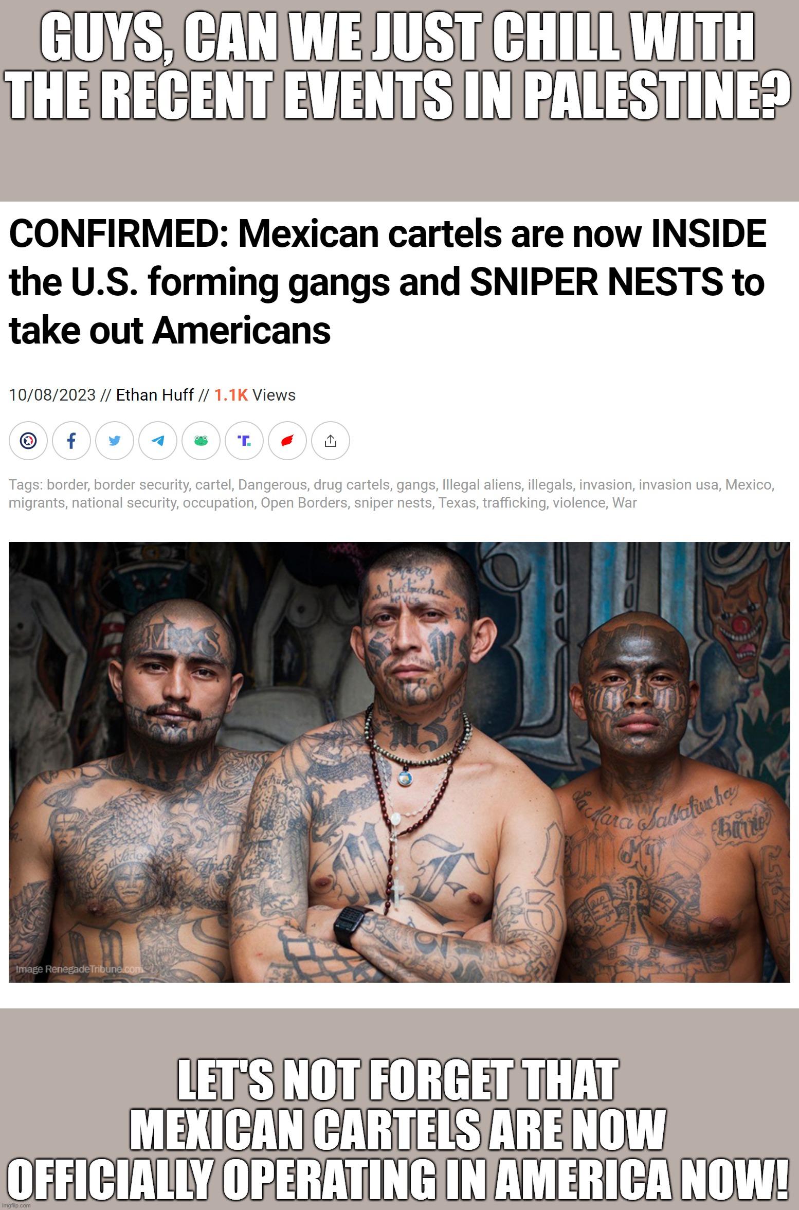 Chill Guys | GUYS, CAN WE JUST CHILL WITH THE RECENT EVENTS IN PALESTINE? LET'S NOT FORGET THAT MEXICAN CARTELS ARE NOW OFFICIALLY OPERATING IN AMERICA NOW! | image tagged in palestine,israel,mexico,america,drugs,war on drugs | made w/ Imgflip meme maker