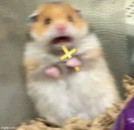 Scared Hamster with Cross | image tagged in scared hamster with cross | made w/ Imgflip meme maker