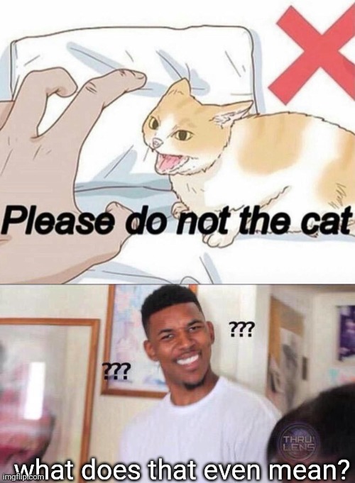 what does that even mean? | image tagged in please do not the cat,black guy confused | made w/ Imgflip meme maker