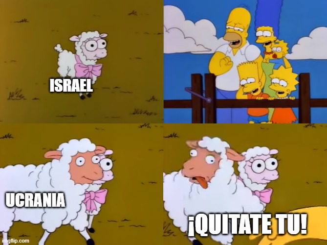 81w8wi.jpg