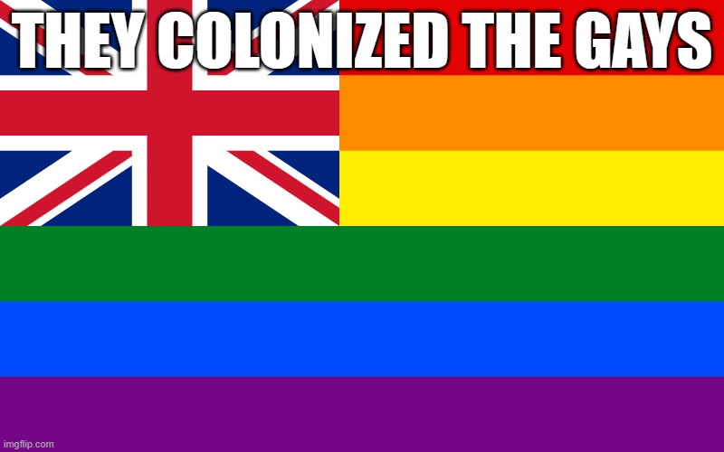 British colonization of the gays | THEY COLONIZED THE GAYS | image tagged in british colonization of the gays | made w/ Imgflip meme maker