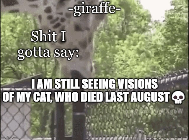 -giraffe- | I AM STILL SEEING VISIONS OF MY CAT, WHO DIED LAST AUGUST💀 | image tagged in -giraffe- | made w/ Imgflip meme maker