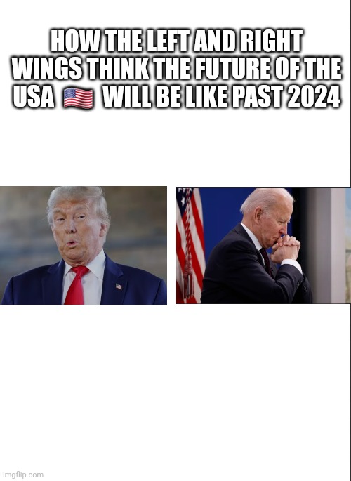 How the LEFT AND RIGHT WING see the USA past 2024... | HOW THE LEFT AND RIGHT WINGS THINK THE FUTURE OF THE USA  🇺🇸  WILL BE LIKE PAST 2024 | image tagged in donald trump,joe biden,united states of america,future,political meme,meme | made w/ Imgflip meme maker
