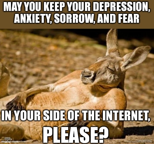 Chillin Kangaroo | MAY YOU KEEP YOUR DEPRESSION, ANXIETY, SORROW, AND FEAR; IN YOUR SIDE OF THE INTERNET, PLEASE? | image tagged in chillin kangaroo | made w/ Imgflip meme maker