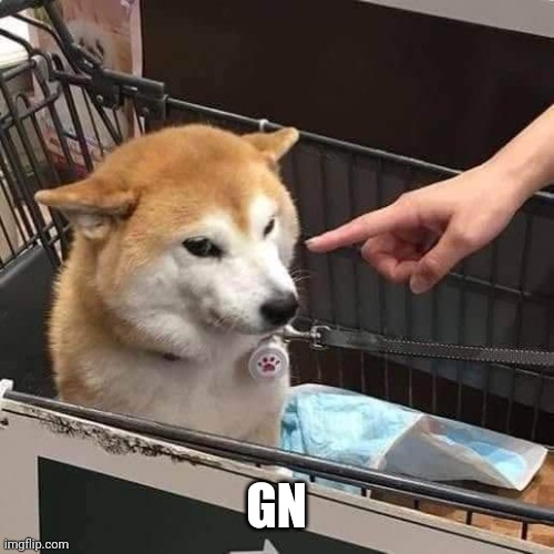 No horny | GN | image tagged in no horny | made w/ Imgflip meme maker