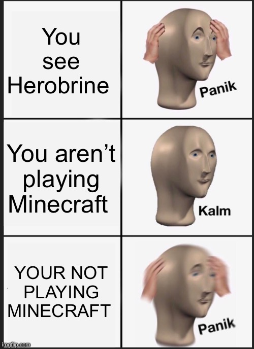 Run | You see Herobrine; You aren’t playing Minecraft; YOUR NOT PLAYING MINECRAFT | image tagged in memes,panik kalm panik | made w/ Imgflip meme maker