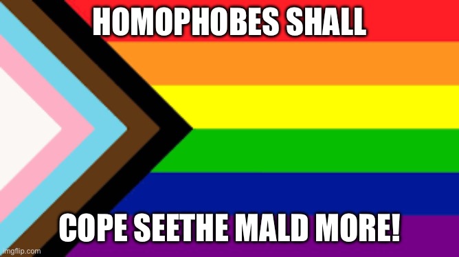 Gay Flag!!! | HOMOPHOBES SHALL; COPE SEETHE MALD MORE! | image tagged in gay flag | made w/ Imgflip meme maker