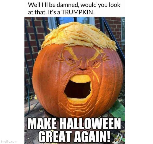 ITS A TRUMPKIN | image tagged in halloween,trump,memes,funny,tag reader | made w/ Imgflip meme maker