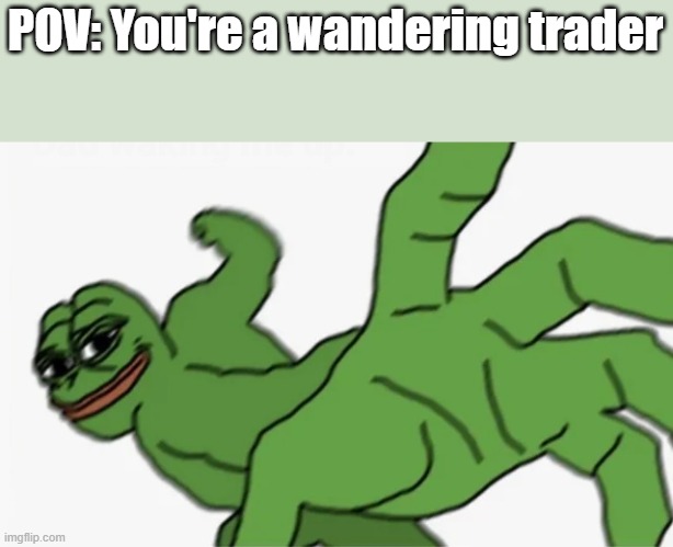 I mean they dont serve any purpose. | POV: You're a wandering trader | image tagged in pepe punch | made w/ Imgflip meme maker