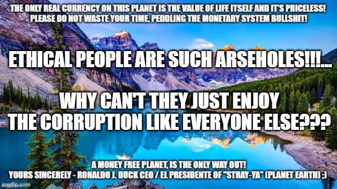 Ethical People Are Such Arseholes! | ETHICAL PEOPLE ARE SUCH ARSEHOLES!!!... WHY CAN'T THEY JUST ENJOY THE CORRUPTION LIKE EVERYONE ELSE??? | image tagged in government corruption,politicians,police,medical profession,corruption,economys | made w/ Imgflip meme maker
