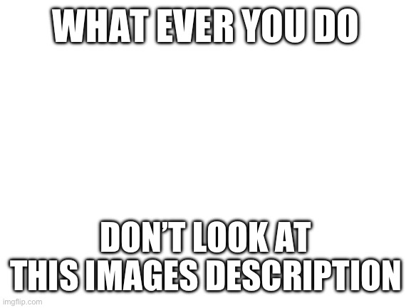 Don’t do it | WHAT EVER YOU DO; SEX; DON’T LOOK AT THIS IMAGES DESCRIPTION | image tagged in blank white template,memes,funny | made w/ Imgflip meme maker