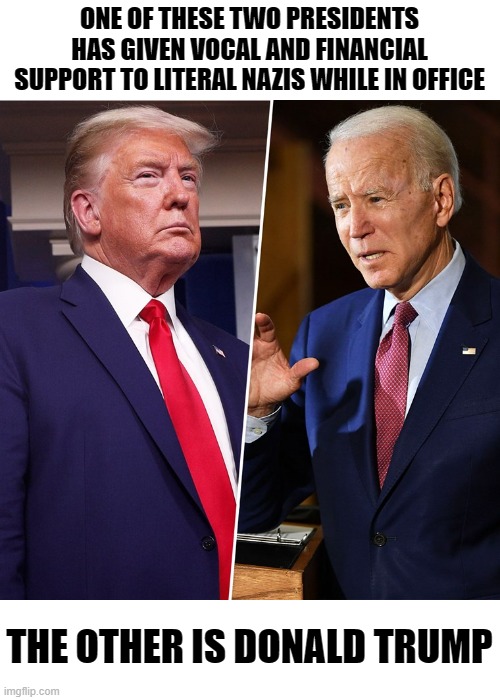 Trump Biden | ONE OF THESE TWO PRESIDENTS HAS GIVEN VOCAL AND FINANCIAL SUPPORT TO LITERAL NAZIS WHILE IN OFFICE; THE OTHER IS DONALD TRUMP | image tagged in trump biden | made w/ Imgflip meme maker