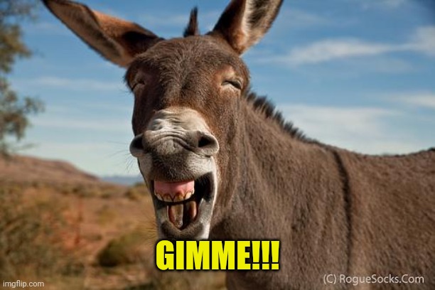 Donkey Jackass Braying | GIMME!!! | image tagged in donkey jackass braying | made w/ Imgflip meme maker