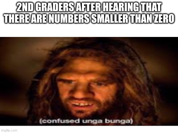 2ND GRADERS AFTER HEARING THAT THERE ARE NUMBERS SMALLER THAN ZERO | made w/ Imgflip meme maker