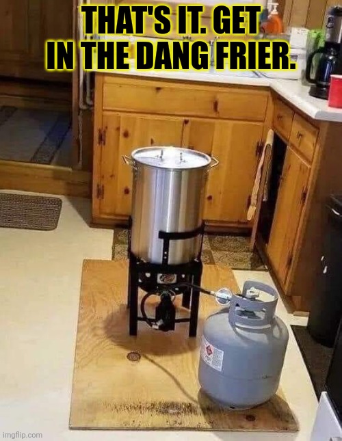 Turkey Fryer | THAT'S IT. GET IN THE DANG FRIER. | image tagged in turkey fryer | made w/ Imgflip meme maker