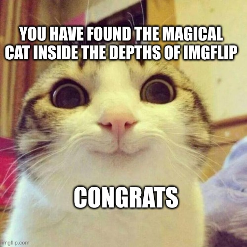 happy | YOU HAVE FOUND THE MAGICAL CAT INSIDE THE DEPTHS OF IMGFLIP; CONGRATS | image tagged in memes,smiling cat | made w/ Imgflip meme maker