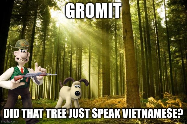 GROMIT | GROMIT; DID THAT TREE JUST SPEAK VIETNAMESE? | image tagged in sunlit forest | made w/ Imgflip meme maker