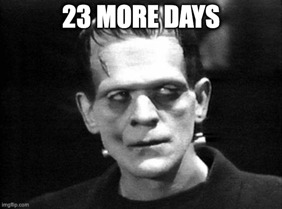 frankenstein | 23 MORE DAYS | image tagged in frankenstein,halloween | made w/ Imgflip meme maker