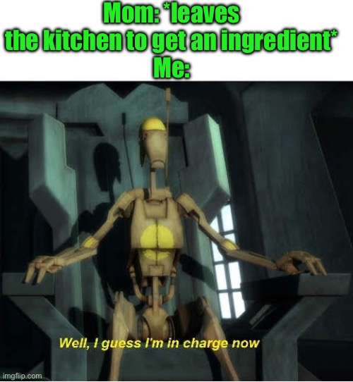 Guess I'm in charge now | Mom: *leaves the kitchen to get an ingredient*
Me: | image tagged in guess i'm in charge now | made w/ Imgflip meme maker