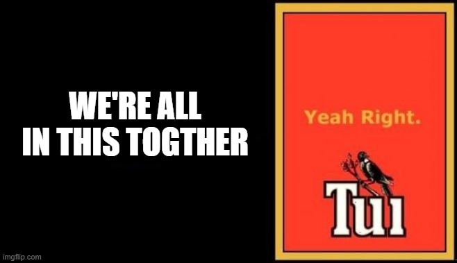 Tui | WE'RE ALL IN THIS TOGTHER | image tagged in tui | made w/ Imgflip meme maker