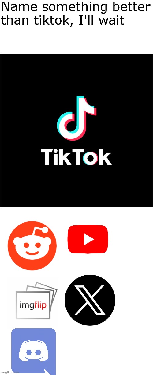 Name something better than tiktok, I'll wait | image tagged in name something better than tiktok i'll wait,youtube,discord,reddit,twitter | made w/ Imgflip meme maker