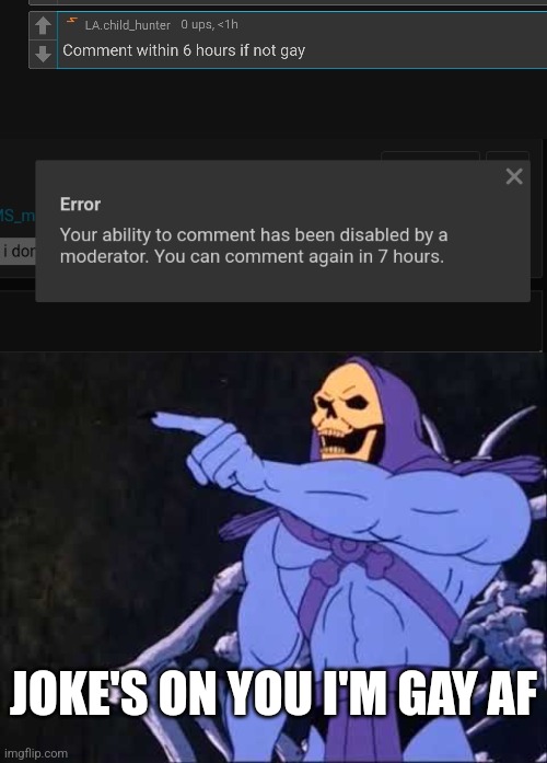 Muahahahahahhaahaaaaa | JOKE'S ON YOU I'M GAY AF | image tagged in skeletor | made w/ Imgflip meme maker