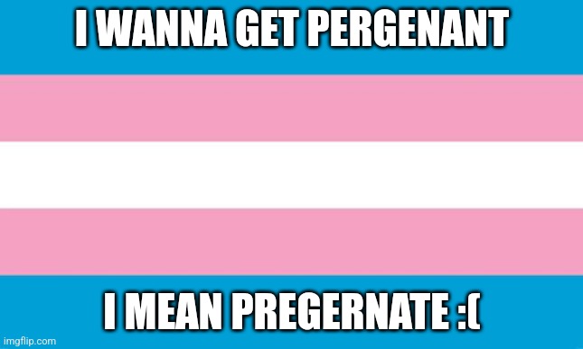 I wanna be a real mother, yk? ;w; | I WANNA GET PERGENANT; I MEAN PREGERNATE :( | image tagged in transgender flag,idk,shitpost,announcement | made w/ Imgflip meme maker