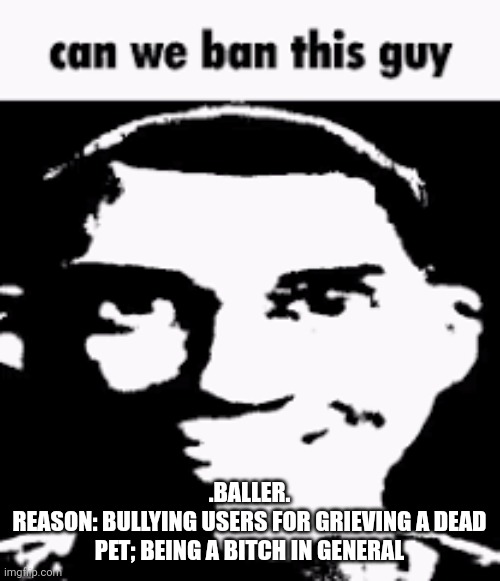 Can we ban this guy | .BALLER.
REASON: BULLYING USERS FOR GRIEVING A DEAD PET; BEING A BITCH IN GENERAL | image tagged in can we ban this guy | made w/ Imgflip meme maker