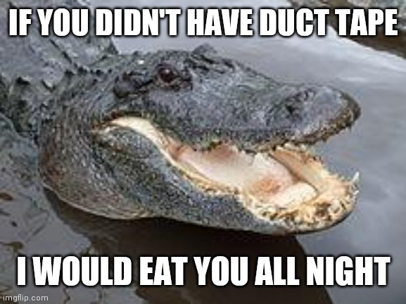 Alligator Wut | IF YOU DIDN'T HAVE DUCT TAPE I WOULD EAT YOU ALL NIGHT | image tagged in alligator wut | made w/ Imgflip meme maker
