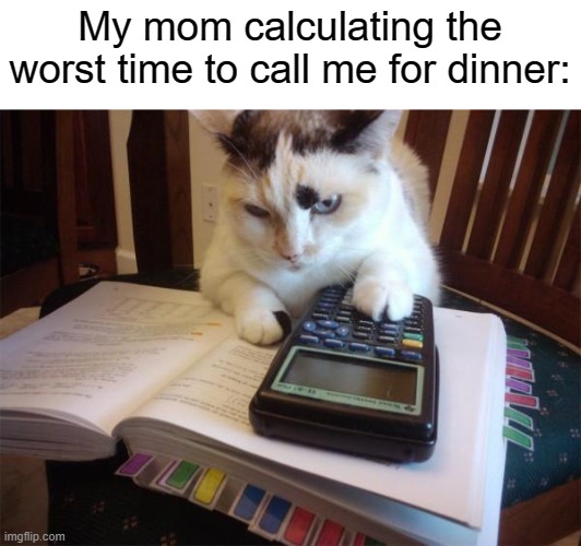 I kinda hate when this happens | My mom calculating the worst time to call me for dinner: | image tagged in math cat,relatable memes | made w/ Imgflip meme maker