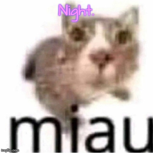 miau | Night. | made w/ Imgflip meme maker