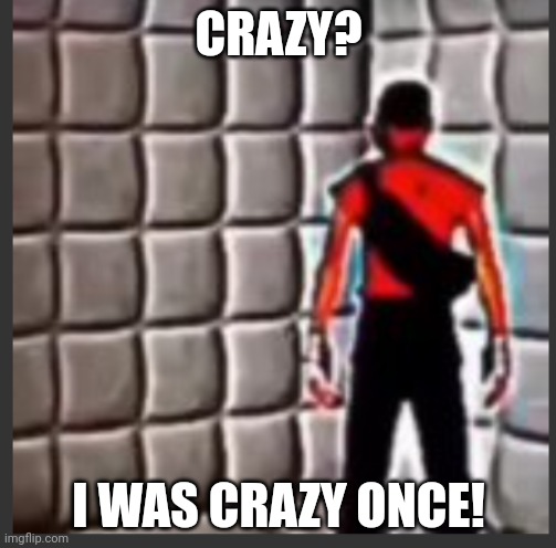 Scout goes insane | CRAZY? I WAS CRAZY ONCE! | image tagged in scout goes insane | made w/ Imgflip meme maker