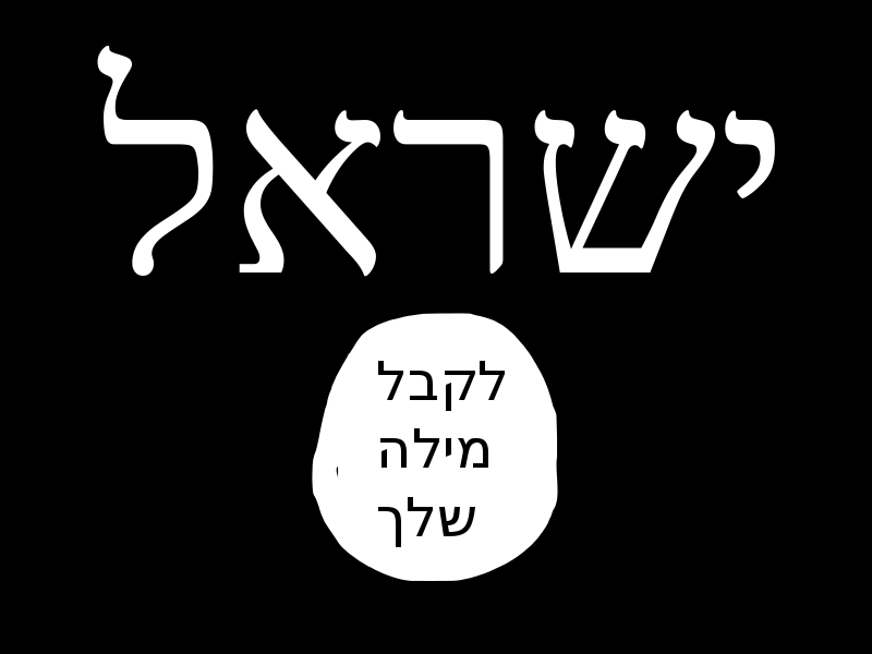 High Quality Flag of ISISRAEL Blank Meme Template