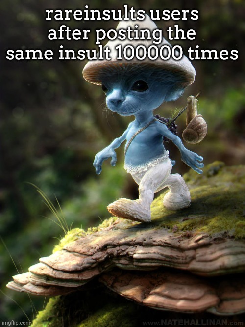 sexoooo | rareinsults users after posting the same insult 100000 times | image tagged in smurf cat,blue smurf cat | made w/ Imgflip meme maker